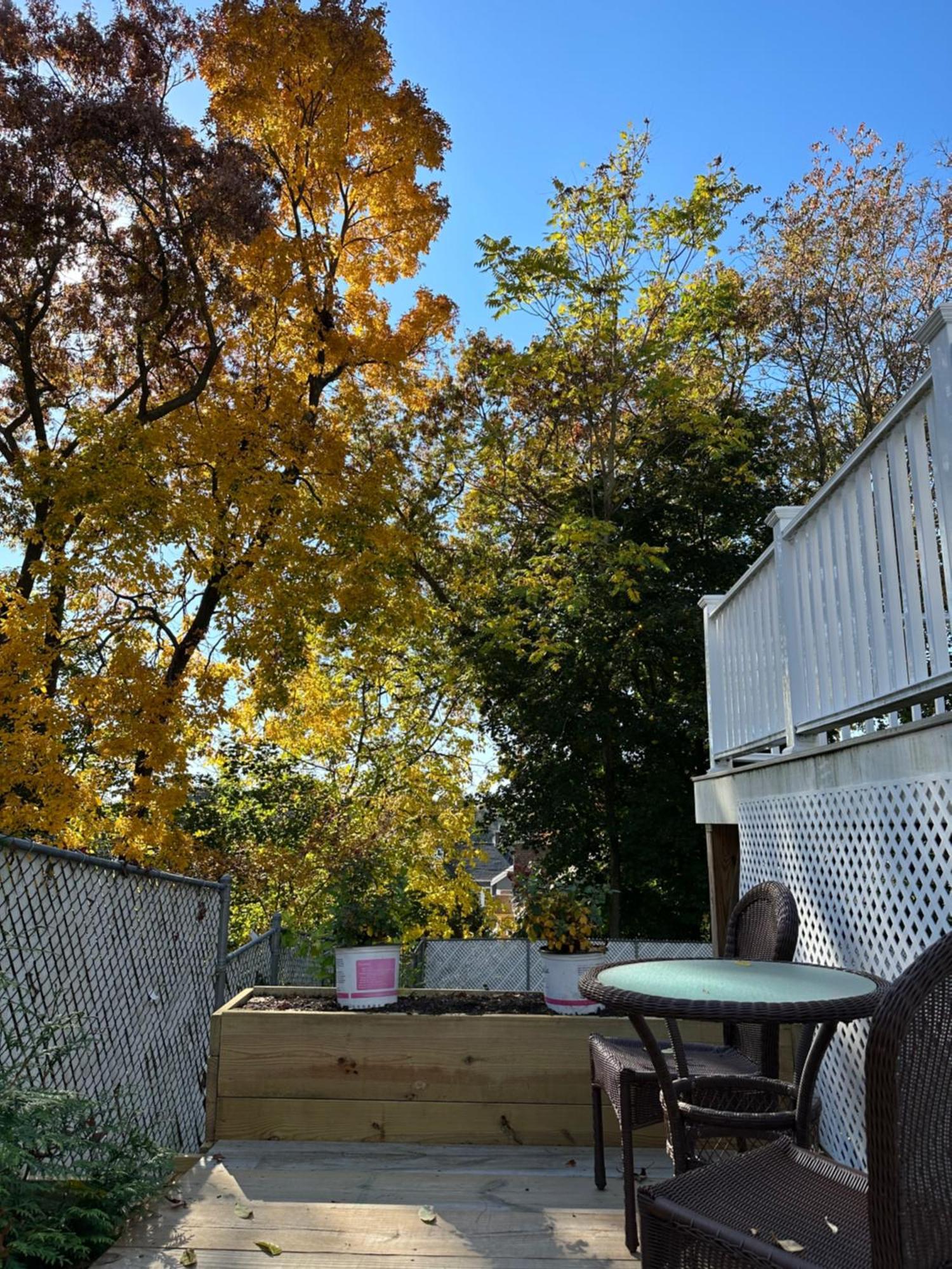 Boston Single Family House - Super Quiet And Private Exterior foto